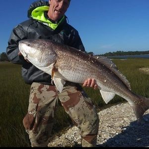 Meet your Posher, Reggie